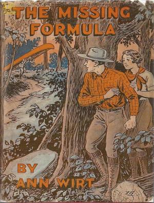 Book cover of The Missing Formula
