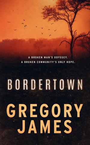 Cover of the book Bordertown by J.E. Fishman