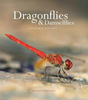 Cover of the book Dragonflies and Damselflies by Martin Gilens