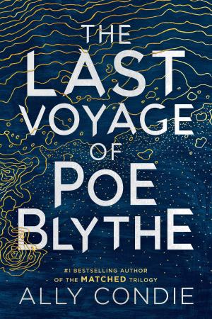 Book cover of The Last Voyage of Poe Blythe