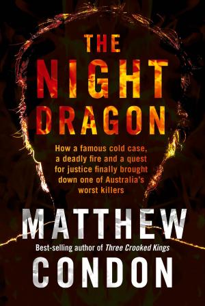 Book cover of The Night Dragon