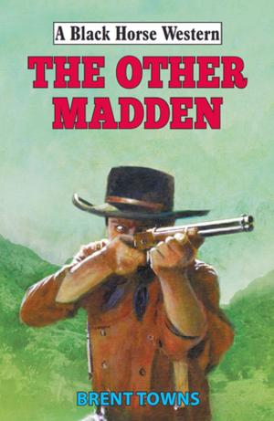 Cover of the book The Other Madden by Harriet Cade