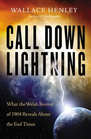 Cover of the book Call Down Lightning by Bill Myers