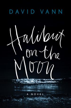 Cover of the book Halibut on the Moon by Gabrielle Zevin
