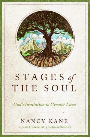 Cover of the book Stages of the Soul by Patrick Morley