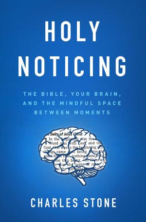 Cover of the book Holy Noticing by Shakti Gawain