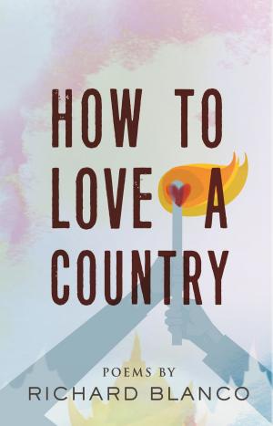Cover of the book How to Love a Country by Tom Wooten