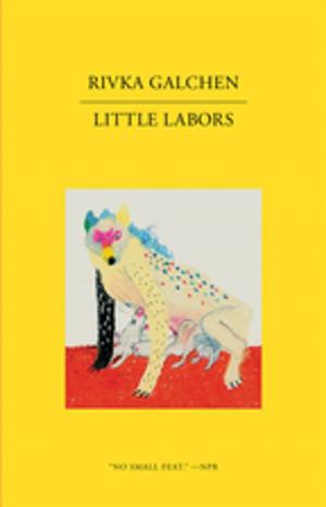 Cover of the book Little Labors by Tommaso Landolfi
