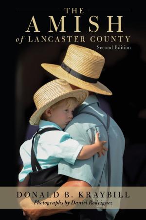 Cover of the book The Amish of Lancaster County by Bruno Friesen