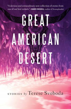 Cover of the book Great American Desert by Andrew Welsh-Huggins