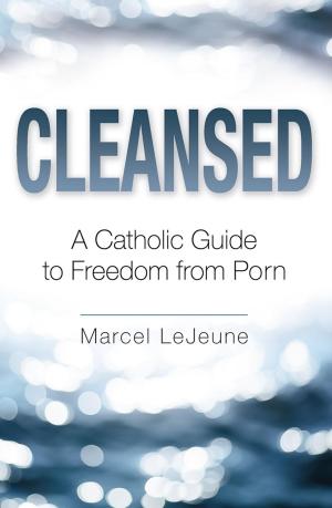 Cover of the book Cleansed by Anne Eileen Heffernan FSP