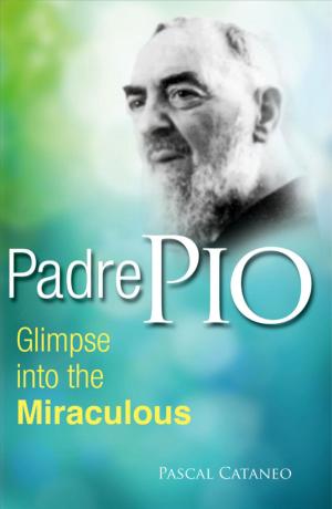 Cover of the book Padre Pio by Eileen Dunn Bertanzetti