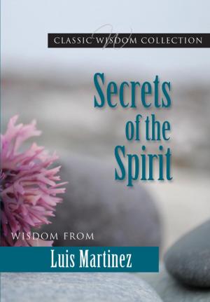 Cover of the book Secrets of the Spirit by Anne Eileen Heffernan FSP