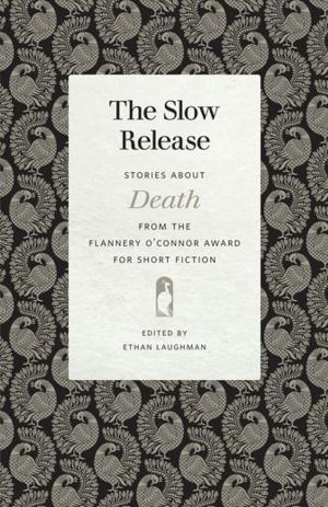 Book cover of The Slow Release