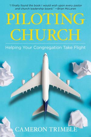 Book cover of Piloting Church