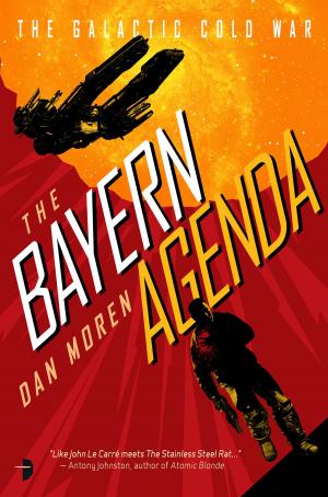 Cover of the book The Bayern Agenda by Adrian Gilbert