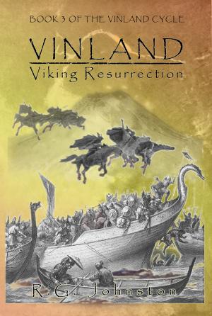 Book cover of Vinland Viking Resurrection