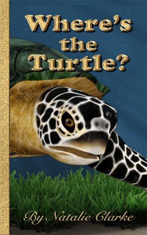 Cover of the book Where's the Turtle? by Gavin, roSS