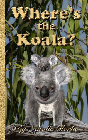 Cover of Where's the Koala?