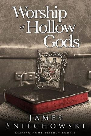 Cover of the book Worship of Hollow Gods by Helen J Knox
