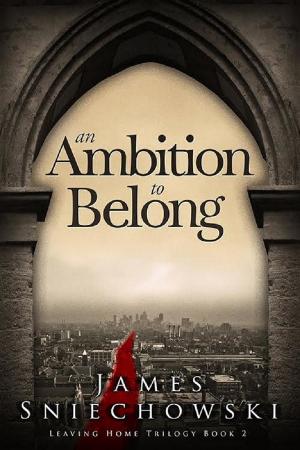 Cover of the book An Ambition to Belong by Jessica Colins