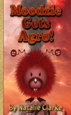 Cover of the book Moodzie gets agro 2019 by Diane Lil Adams