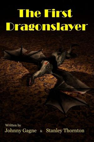 Cover of the book The First Dragonslayer by P.T. Phronk