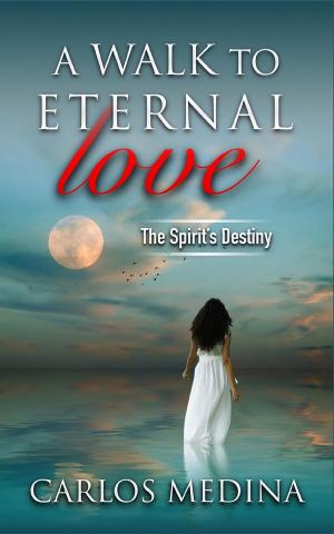 Cover of A Walk to Eternal Love