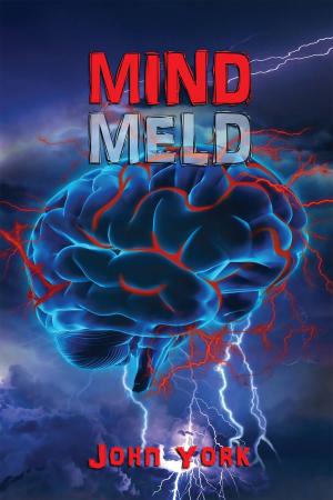 Cover of the book Mind Meld by Mary Kelly