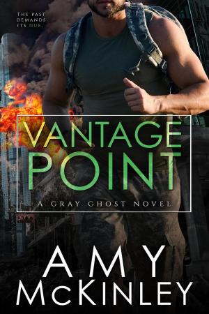 bigCover of the book Vantage Point by 