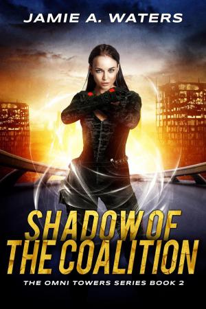 Cover of the book Shadow of the Coalition by E.J. Achterhof