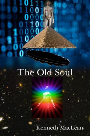 Cover of the book The Old Soul by Joe Nethercott