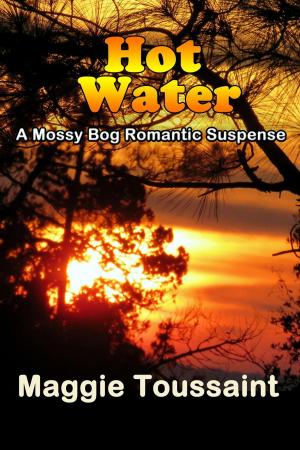 bigCover of the book Hot Water by 