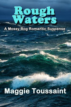 Book cover of Rough Waters