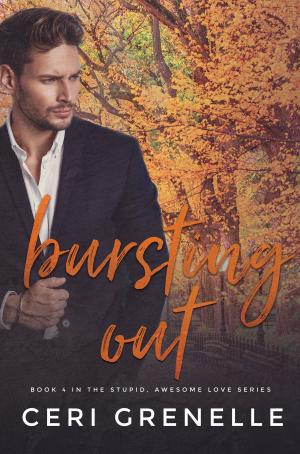 Cover of the book Bursting Out by Danielle Sibarium