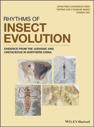 Cover of the book Rhythms of Insect Evolution by Franklin B. Saksena