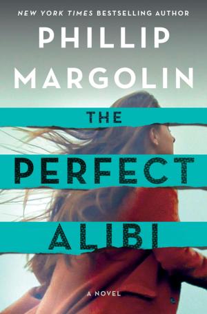 Book cover of The Perfect Alibi