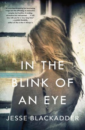 Cover of the book In the Blink of an Eye by Bonnie R. Paulson