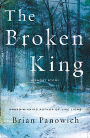 Cover of the book The Broken King by Susan Spann
