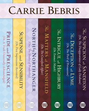 Cover of the book The Mr. and Mrs. Darcy Mysteries Series by Ellen Cooney