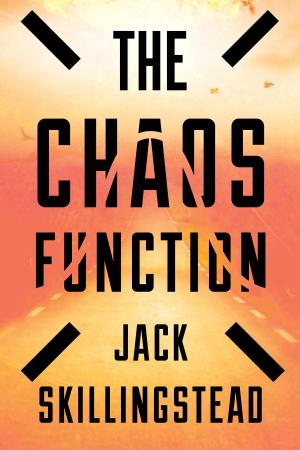 Cover of the book The Chaos Function by Stephen W. Martin