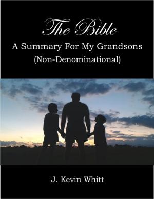 Cover of the book The Bible: a Summary for My Grandsons by Nancy Street
