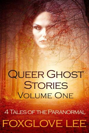 Book cover of Queer Ghost Stories Volume One: 4 Tales of the Paranormal