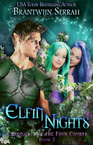 Cover of the book Elfin Nights by John Vornholt
