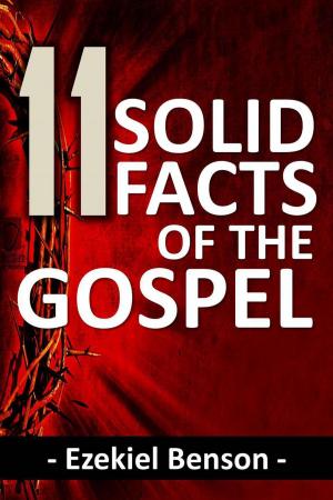 bigCover of the book 11 Solid Facts of the Gospel by 