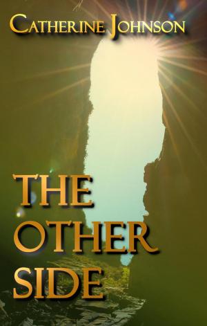 Cover of the book The Other Side by Dr Philip SA Cummins, Dr Stephen Hinks, Gaynor MacKinnon