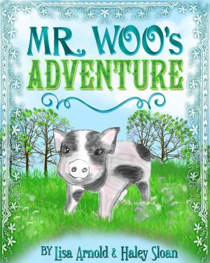 Book cover of Mr. Woo's Adventure