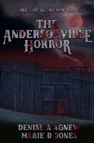 Book cover of The Andersonville Horror