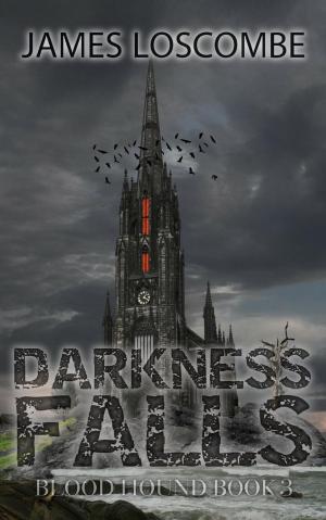 Cover of the book Darkness Falls by Beverley Oakley