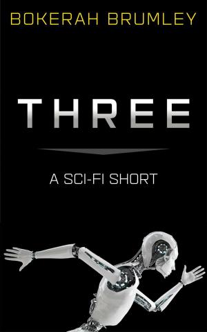 Cover of the book Three: a Sci-Fi Short Story by James A. M. Richards
